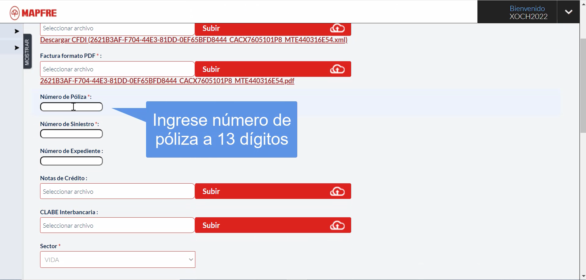 A7.png